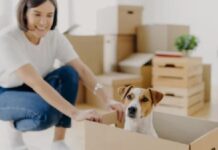 Moving with a Dog? Read This Moving with a Dog